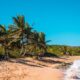 Plage de sable doré bordée de palmiers sous un ciel bleu, dans les Antilles