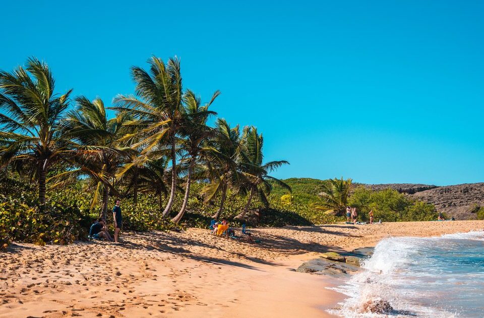 Plage de sable doré bordée de palmiers sous un ciel bleu, dans les Antilles