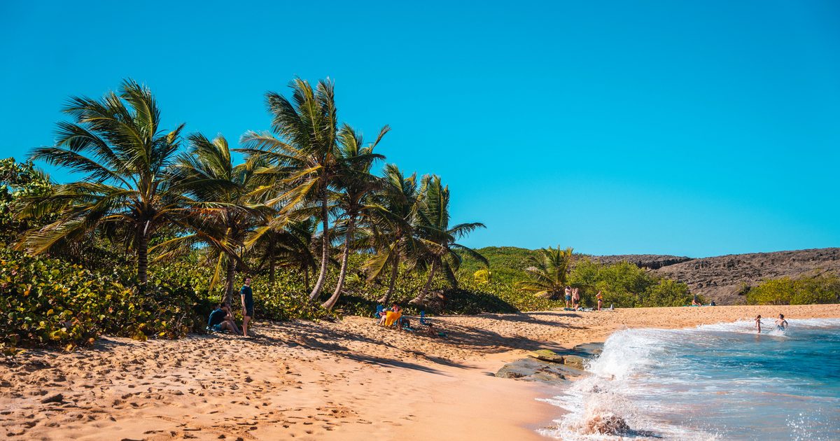 Plage de sable doré bordée de palmiers sous un ciel bleu, dans les Antilles
